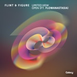 Flint & Figure - Limited View