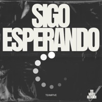 Sigo Esperando (feat. tyn tyrone x, young white & alexier) - Single - TEAM FIVE