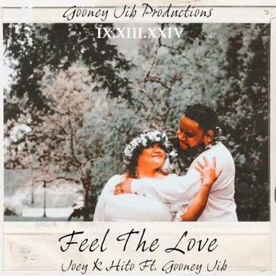 Feel The Love (feat. Gooney Jib) - Single