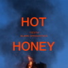 Hot Honey - Tiësto & Alana Springsteen