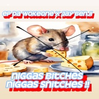 n****s snitches, n****s bitches (feat. Jay Benji) - Single - Ep Da Wokeone
