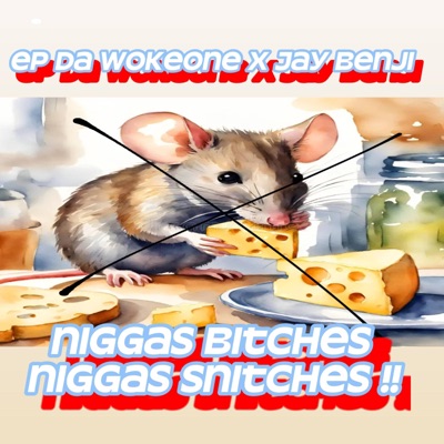 niggas snitches, niggas bitches (feat. Jay Benji) - Single