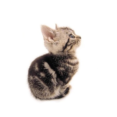 like what! (feat. umpeax) - Single