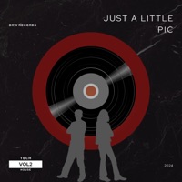 JUST A LITTLE PIC - Single - DRW