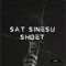 Sat Sinesu Shoet artwork