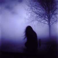 if the wind's sound carried your name - Single - deneb, Meltone & Pandora