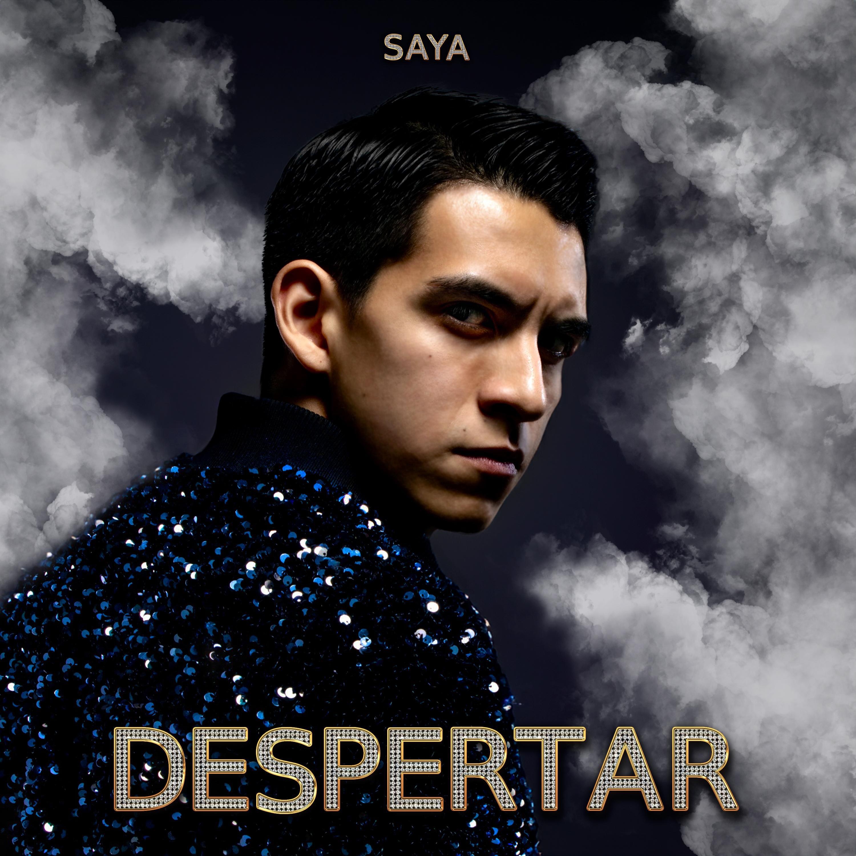 El Bacile Del Saya - --Saya