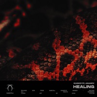 Healing - Single - Kaskeiyp & ANANEV