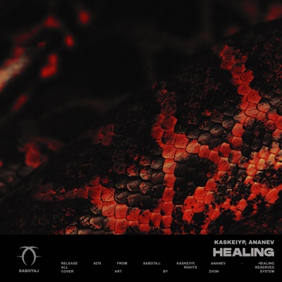 Healing - Single