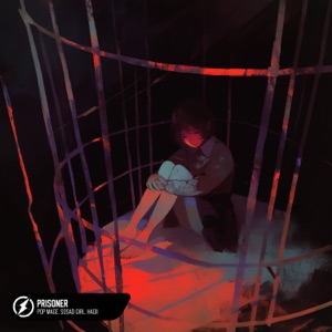 Prisoner