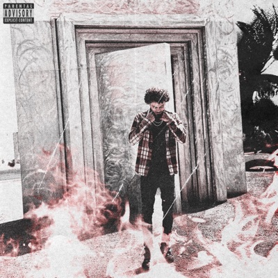 FIRE AND ASH - Single