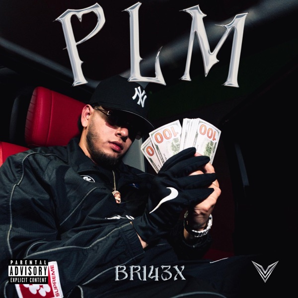 PLM - Single