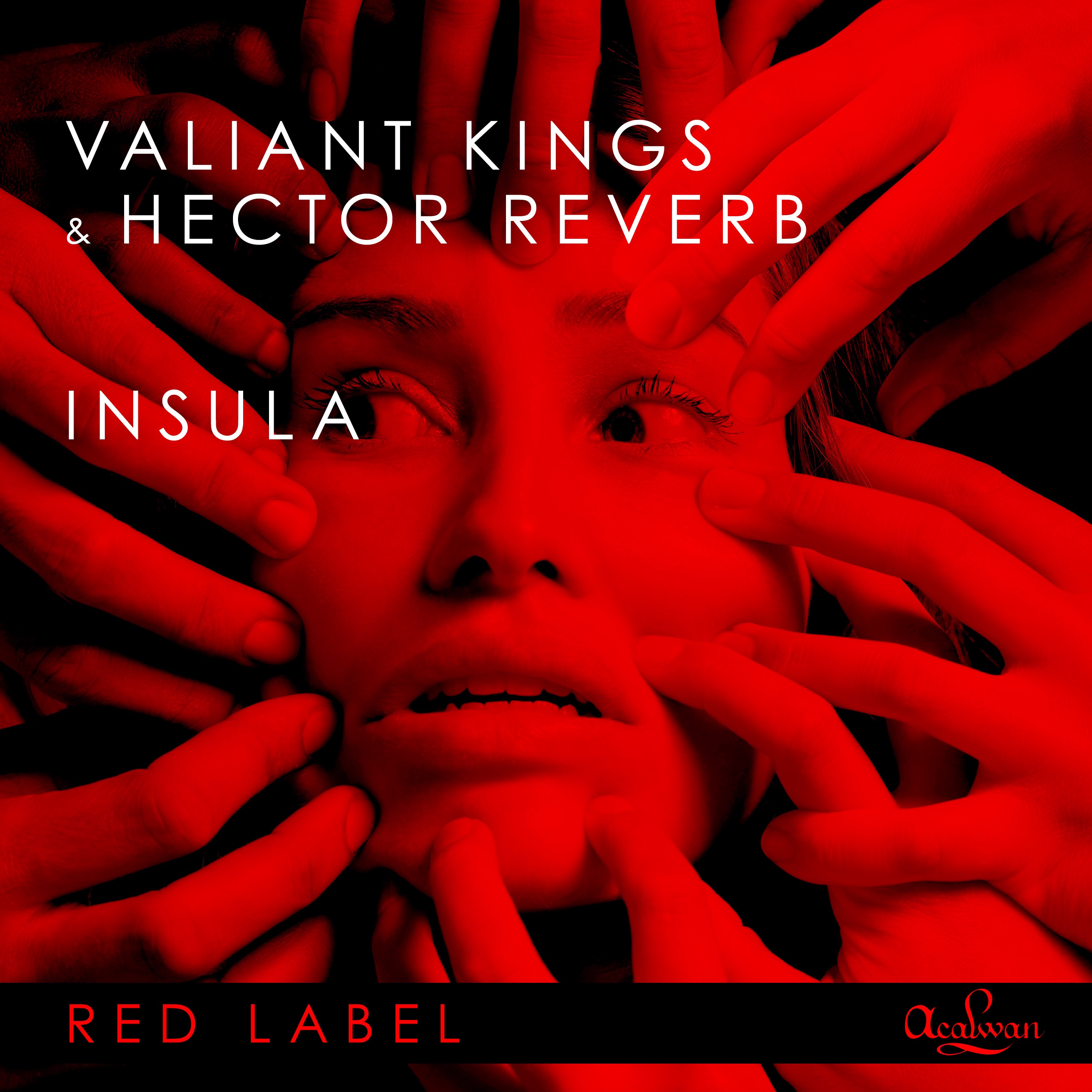 Valiant Kings Hector Reverb - Insula