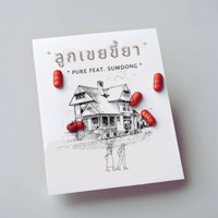 ลูกเขยขี้ยา (feat. SUMDONG) - Single - PURE 540House