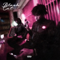 black cat/fell in luv (feat. Rich Amiri) - Single - Shaio