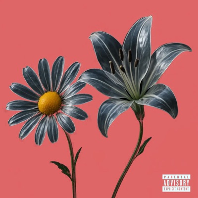 Daisies and Lilies (feat. Kishé, Mood Orin & Moses Stringman) - Single