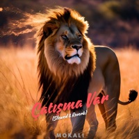 Çatışma Var (Slowed & Reverb) - Single - Mokali