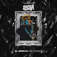EL ESPEJO DE HARRY - Single - Shoga