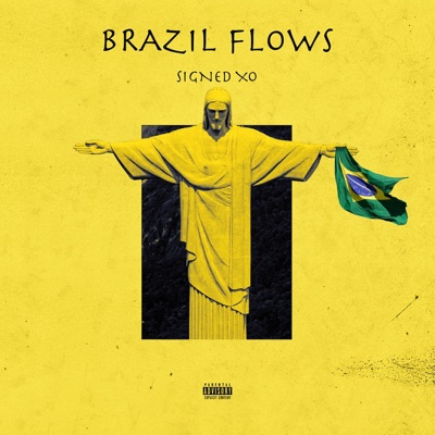 Brazil Flows - Single