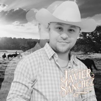 Hoy Pongo en Venta el Fundito - Single - Javier Sanchez