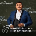 Татынакайым artwork