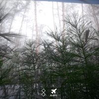 resolute - Single - vxrt & aviate