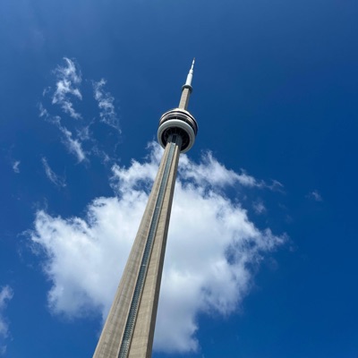 Love is poison - Single