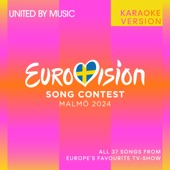 The Code (Eurovision 2024 - Switzerland / Karaoke) artwork