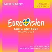 The Code (Eurovision 2024 - Switzerland / Karaoke) - Nemo Cover Art