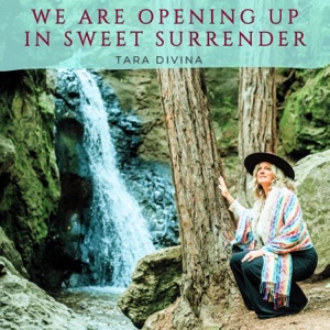 We Are Opening Up In Sweet Surrender - Single