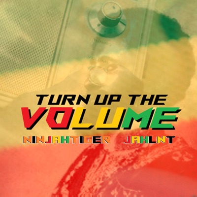 Turn Up The Volume - Single