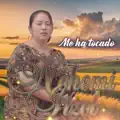 Halle Un buen Amigo