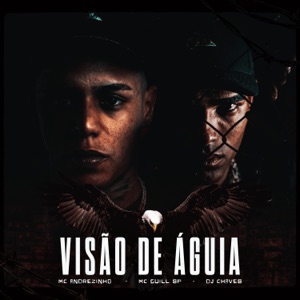 Visão de Águia