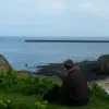WALLS