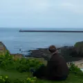 WALLS