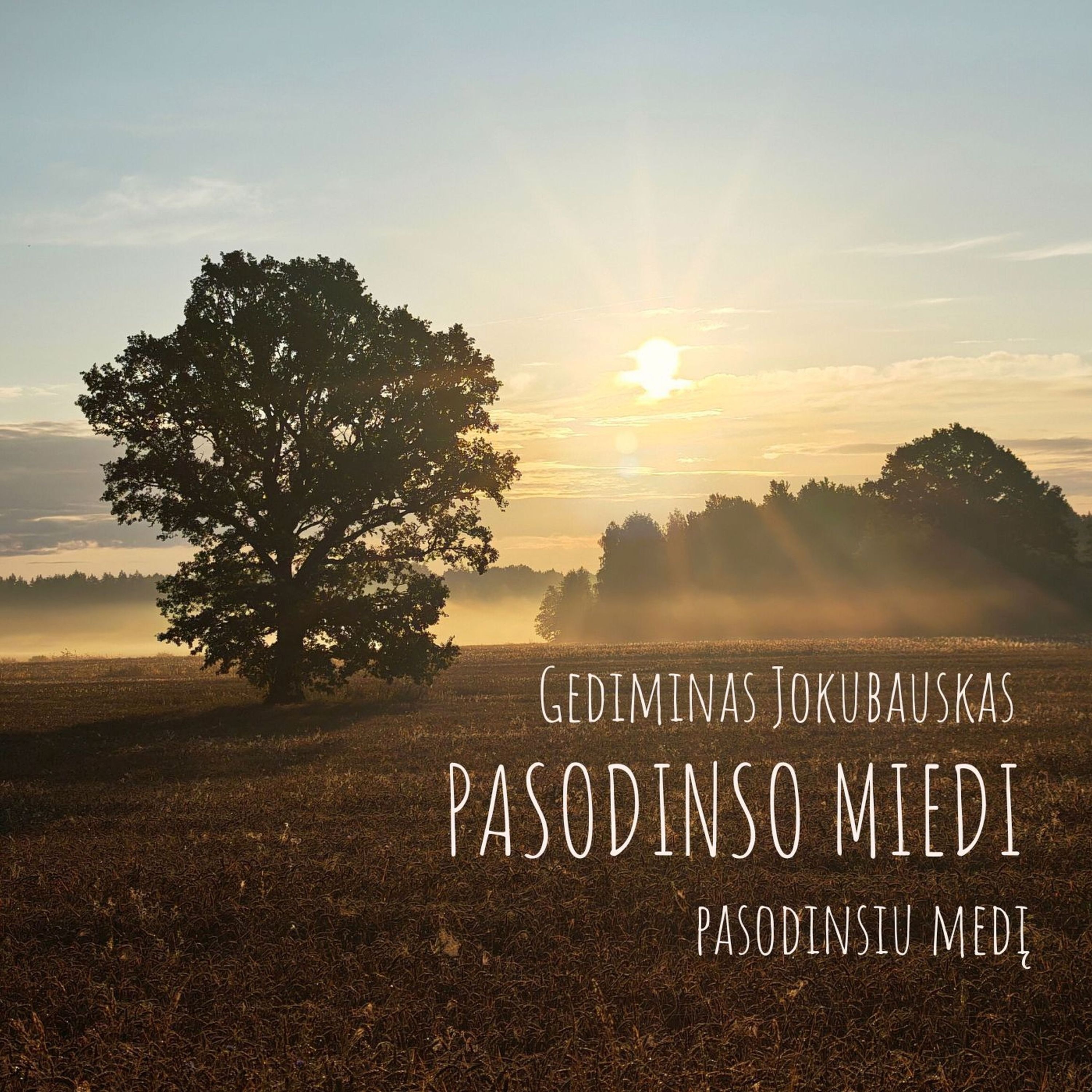 Pasodinso miedi | Pasodinsiu medį - Single
