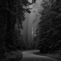 CHOP! CHOP! (feat. SILENT!) - Single - stainomh