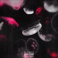 REVIVAL: INCEPTION (REDUX) - EP - Wxldcxrd