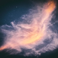 Sync (feat. F.o.x) - Single - Qael