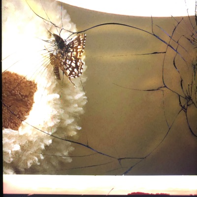 DIGITAL COLLAPSE {2023-25}