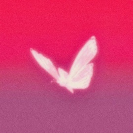 wonder where you go (feat. Noah Tonin) toned