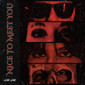 Nice to Meet You song art