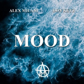 MOOD (feat. Don Keyz & Mr2TheP) Alex Milani