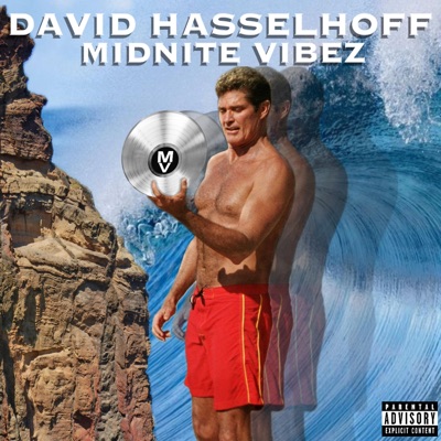 David hasselhoff - Single