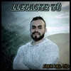 Llegaste Tú - Single