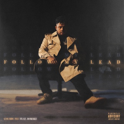 Follow My Lead (feat. Rokske) - Single