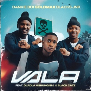 Vala (feat. Dladla Mshunqisi & Black CaTz)