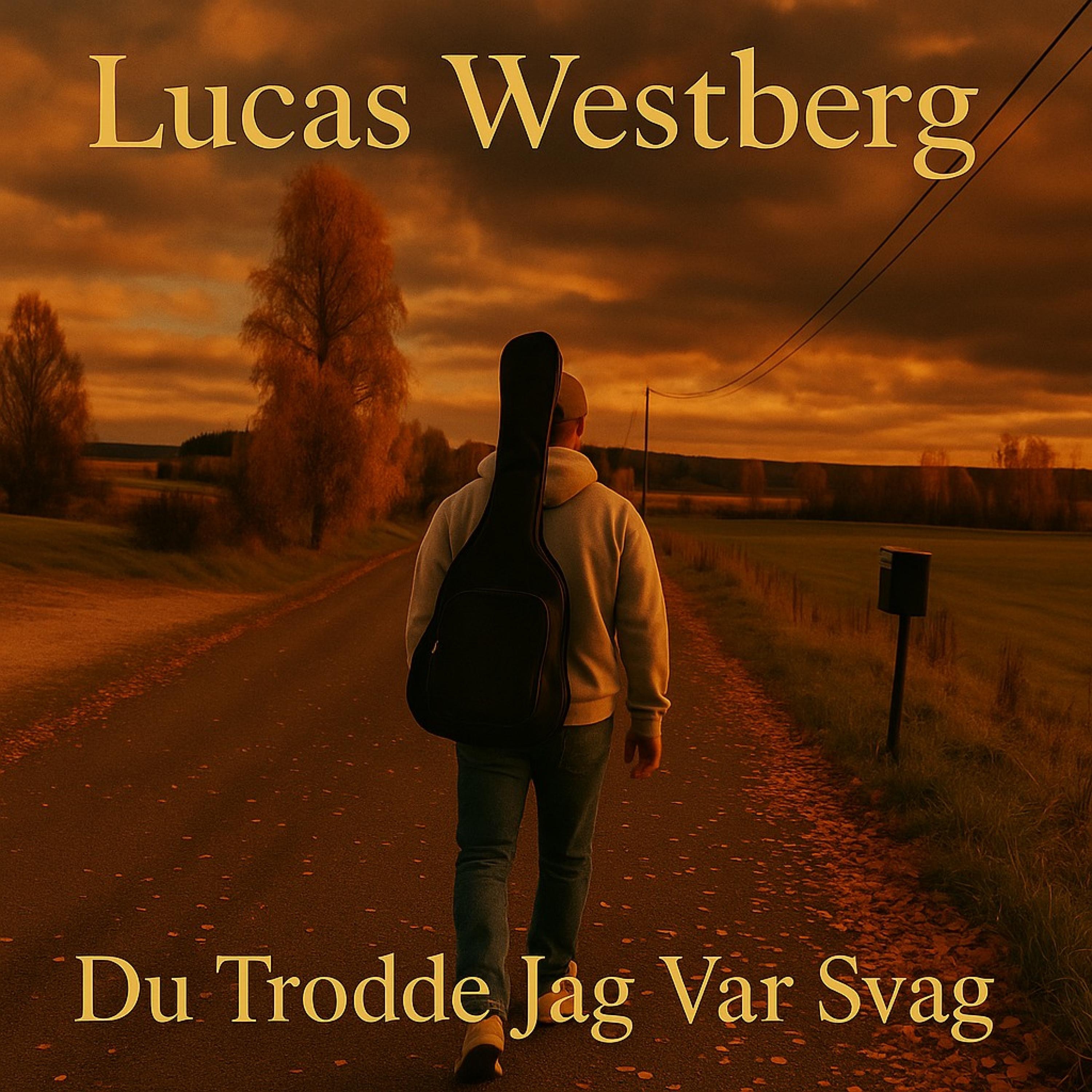 Du Trodde Jag Var Svag - Single