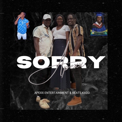 I'm Sorry - Single