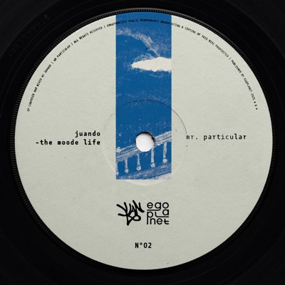 Mr. Particular - Single